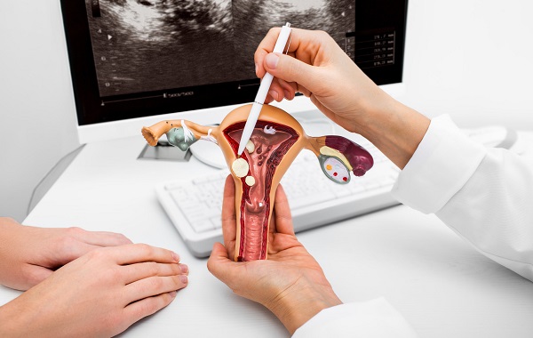 kham-phu-khoa-kiem-tra-he-thong-co-quan-sinh-duc-nu-1